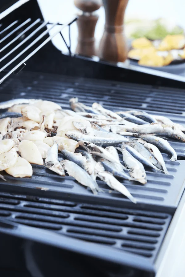 Plinski roštilj Barbecook Stella 4311 - Slika 5